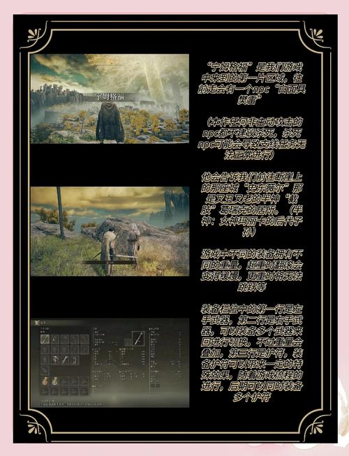 艾尔登法环掉帧严重怎么办? 第2张 艾尔登法环掉帧严重怎么办? 第2张