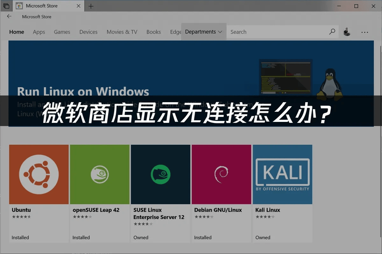 解决Win11或Win10中的Microsoft Store错误0x80242020方法  第2张