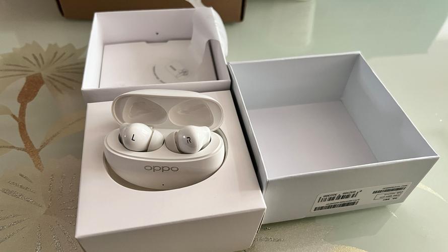 全球首发竹纤维振膜 真香顶配OPPO Enco Free3发布  第2张