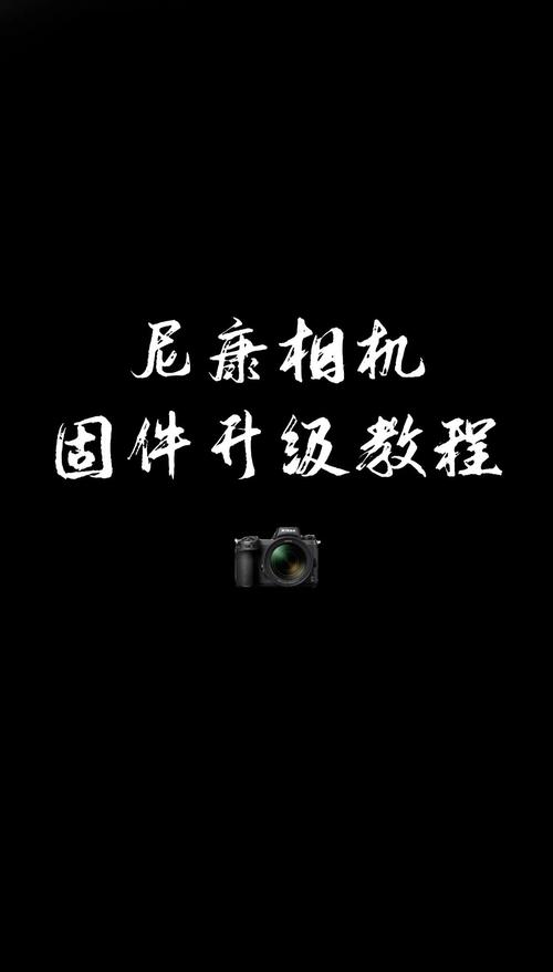 尼康发布两款入门单反相机固件 修正曝光问题  第1张