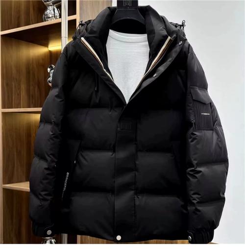 米家279元羽绒服开卖!网友:衣服丑,模特照好评 男模特帅 第2张 米家279元羽绒服开卖!网友:衣服丑,模特照好评 男模特帅 第2张