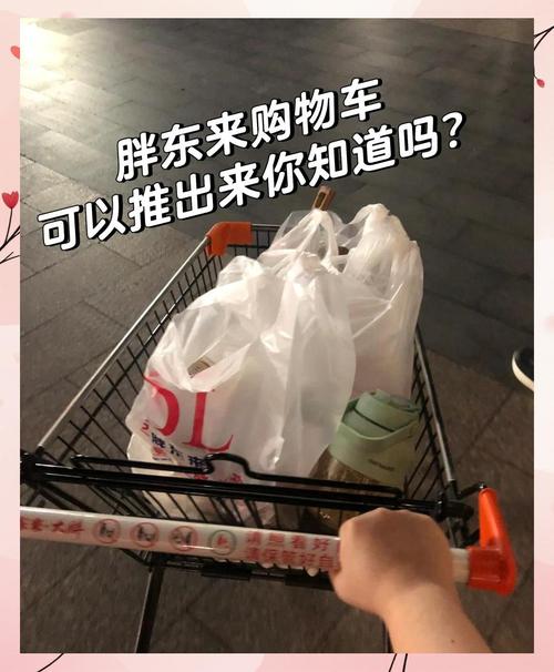 还真是实用不错的共享商品:共享购物车现西安 一元一小时可以推回小区 第1张 还真是实用不错的共享商品:共享购物车现西安 一元一小时可以推回小区 第1张