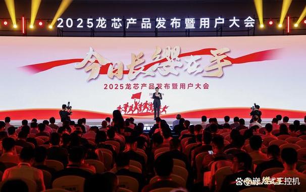 2025龙芯中科  第1张