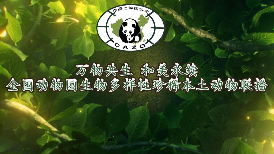 2025默得森生物  第2张