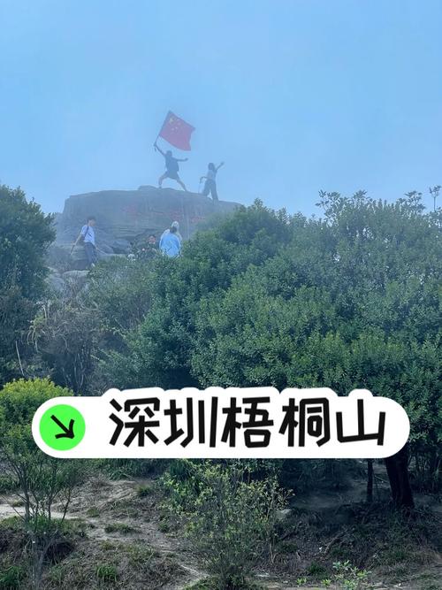 「智能助行机器人」入驻梧桐山,助您勇攀鹏城第一峰! 第2张 「智能助行机器人」入驻梧桐山,助您勇攀鹏城第一峰! 第2张