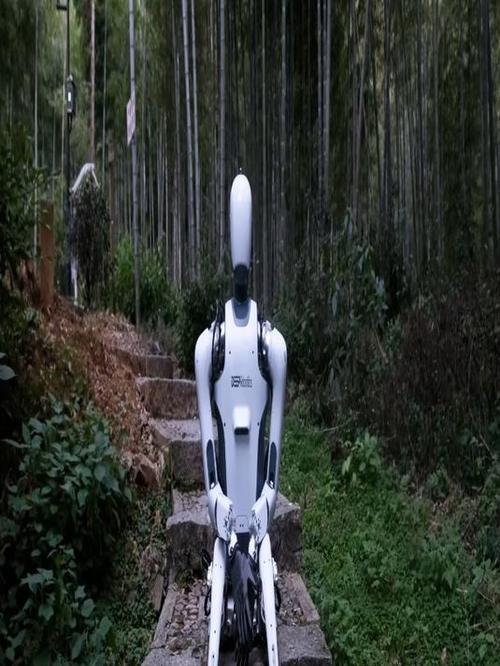 云深处科技DR01人形机器人卓越稳定性与智能融合引领行业变革  第2张