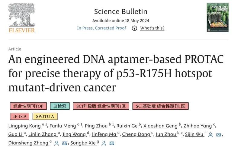 baidu09亚虹医药宣布与 ReviR 共同开发基于 AI+RNA 技术路线的肿瘤创新疗法 第2张 baidu09亚虹医药宣布与 ReviR 共同开发基于 AI+RNA 技术路线的肿瘤创新疗法 第2张