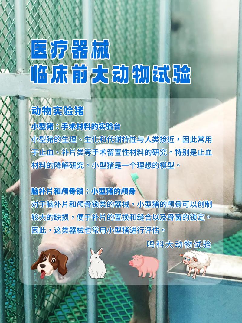 baidu09动物实验不再是唯一选择？临床研发或将迎来新变局  第2张