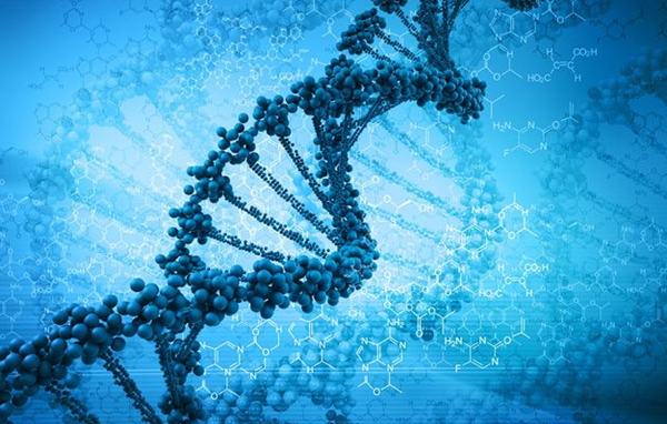 baidu09启慧生物完成数千万元 A 轮融资,加速推进脂质微泡超声造影管线开发 第1张 baidu09启慧生物完成数千万元 A 轮融资,加速推进脂质微泡超声造影管线开发 第1张