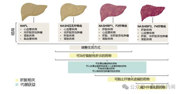 baidu09显著改善肝组织病变,NASH创新疗法公布3期试验更多积极结果 第2张 baidu09显著改善肝组织病变,NASH创新疗法公布3期试验更多积极结果 第2张