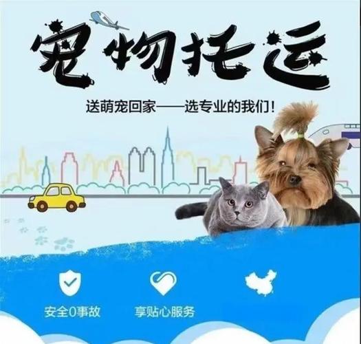 baidu09泡宠,提供专业的免费宠物健康服务 第2张 baidu09泡宠,提供专业的免费宠物健康服务 第2张
