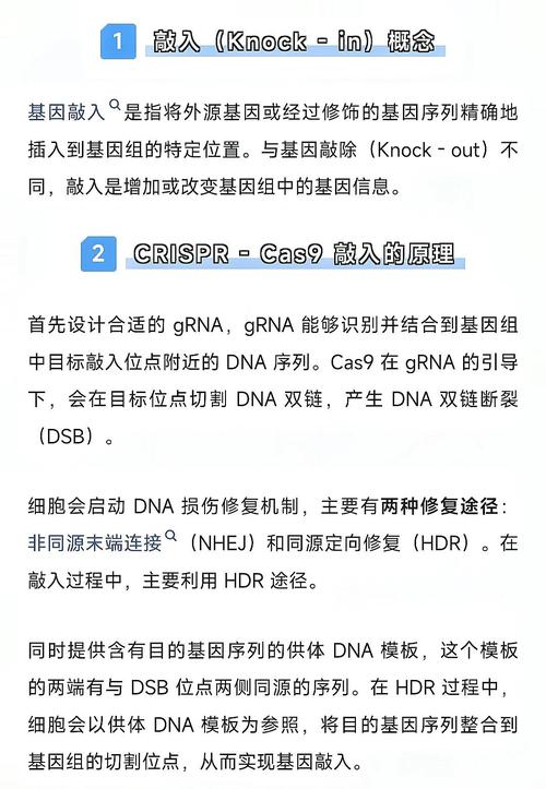 baidu09突破海外专利坚壁，中国 CRISPR 技术的下一步是？  第2张