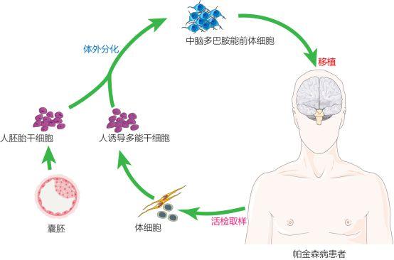 baidu09聚焦呼气分子诊断,乐翌生物完成数千万元融资 第1张 baidu09聚焦呼气分子诊断,乐翌生物完成数千万元融资 第1张