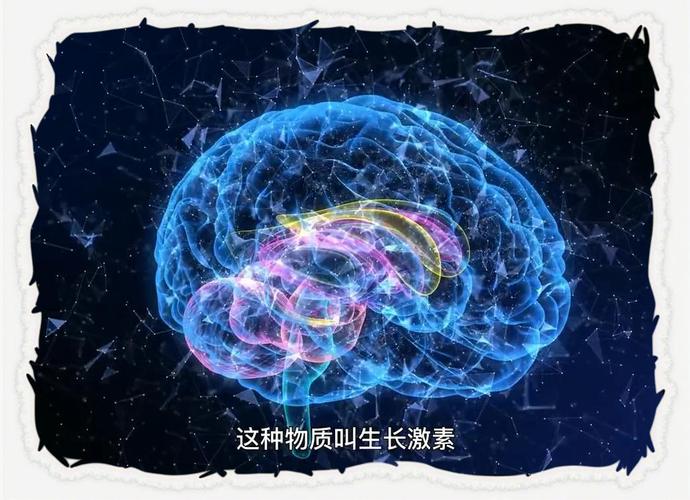baidu09脑科学新发现:清醒下的“脑空白”现象或是大脑在没有睡眠时的“扫描修复” 第1张 baidu09脑科学新发现:清醒下的“脑空白”现象或是大脑在没有睡眠时的“扫描修复” 第1张