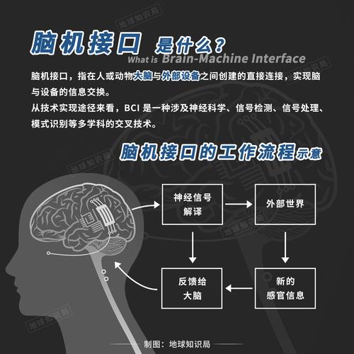 baidu09马斯克的脑机接口公司 Neuralink 获得 2.8 亿美元融资  第2张