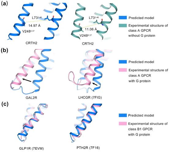 AlphaGenome – 谷歌推出的AI基因变异预测模型  第2张