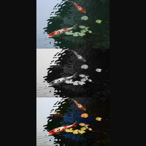 DDColor – 阿里推出的AI图像上色框架,将黑白图片变彩色 第2张 DDColor – 阿里推出的AI图像上色框架,将黑白图片变彩色 第2张