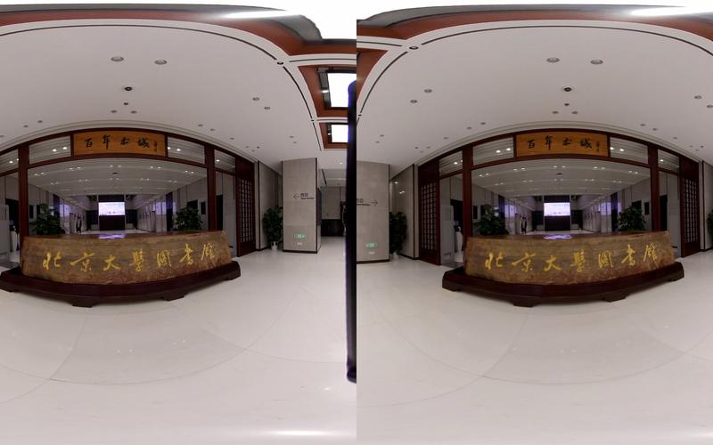 HoloTime – 北大联合鹏城实验室推出的全景4D场景生成框架  第2张