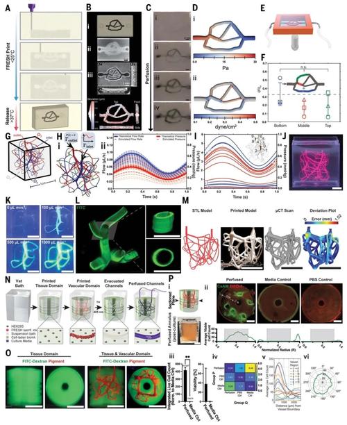 iDP3 – 斯坦福大学联合多所高校推出的改进型3D视觉运动策略 第2张 iDP3 – 斯坦福大学联合多所高校推出的改进型3D视觉运动策略 第2张