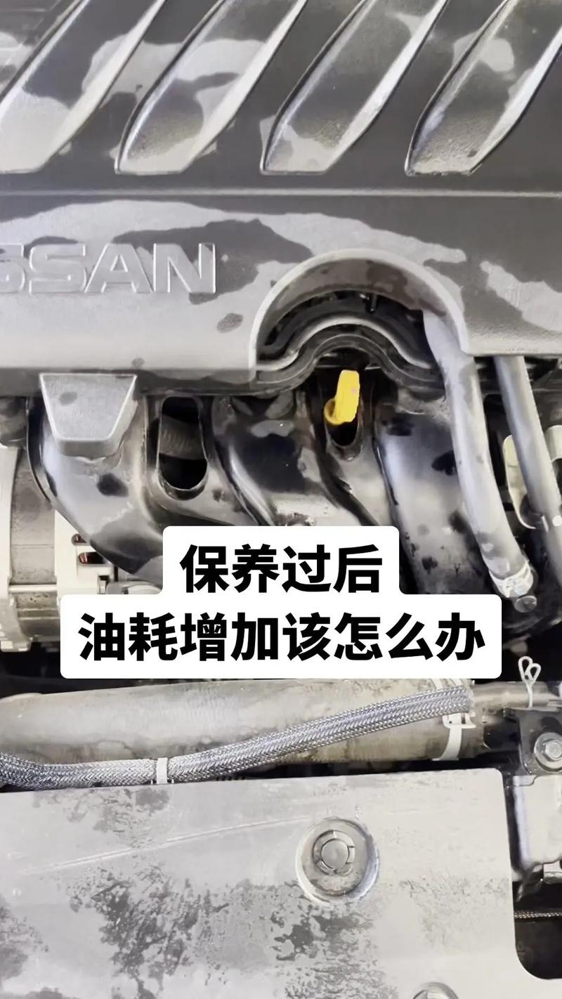 机油增多有什么危害?机油增多最好的处理方法 第1张 机油增多有什么危害?机油增多最好的处理方法 第1张