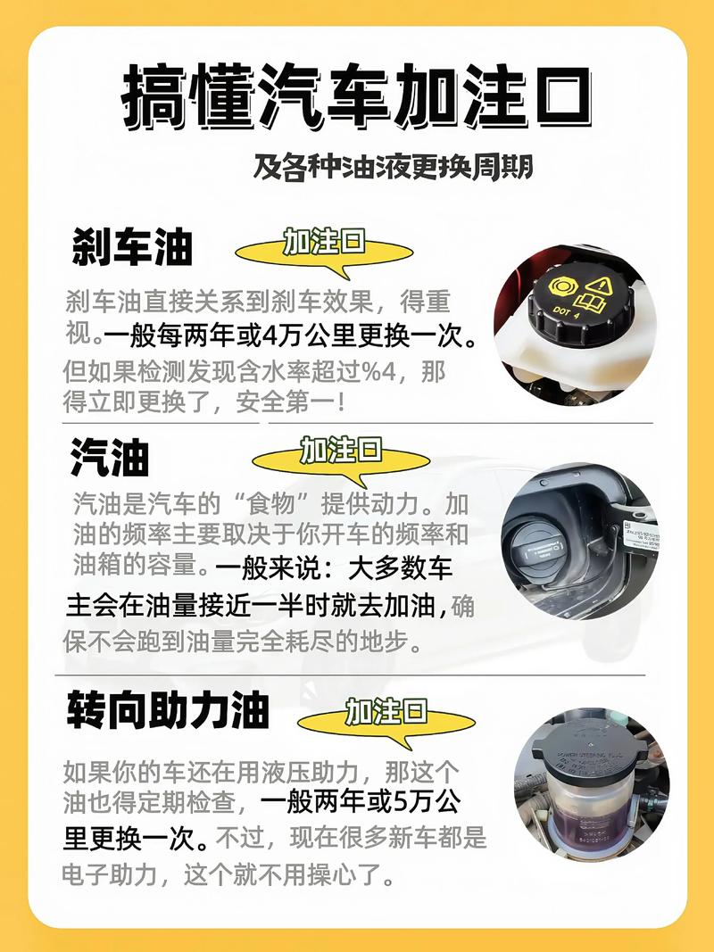 汽车保养换机油常识 第1张 汽车保养换机油常识 第1张