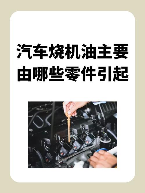 汽车漏机油怎么办,汽车漏机油的原因 第2张 汽车漏机油怎么办,汽车漏机油的原因 第2张