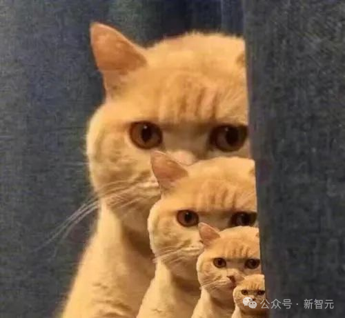 OpenAI Sora核心技术，被曝缝合自DeepMind和谢赛宁论文？机器模拟人类世界迈出第一步  第4张