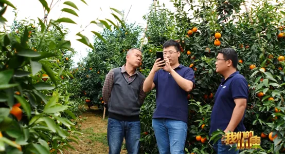 中国民间怎么把AI应用玩出了花？  第5张