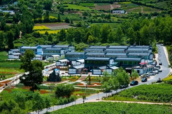 中国民间怎么把AI应用玩出了花？  第18张