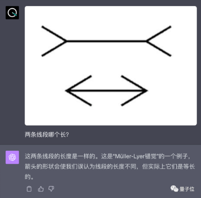 大跌眼镜！GPT-4V错觉挑战实录：该错的没错，不该错的反而错了  第17张