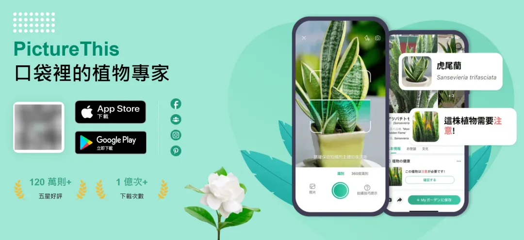 “教老外种草”杭州AI公司月入8000万，教人打游戏的AI岂不得上天？  第5张