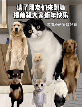 《嬛嬛朕emo啦》但马斯克！阿里这项技术开放试玩  第9张