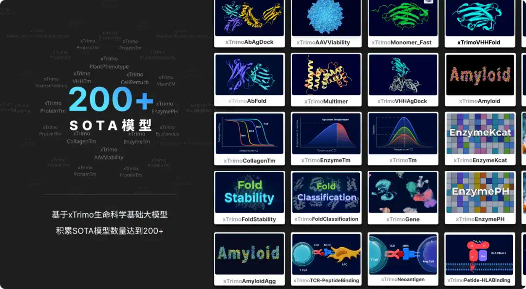 全球首个千亿级蛋白质模型开源！百图生科掀起生命科学AI普惠革命  第7张