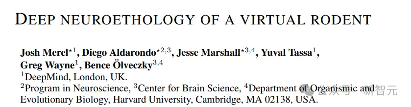 哈佛DeepMind开辟「虚拟神经科学」新领域！在世界模拟器驯养「赛博老鼠」  第7张