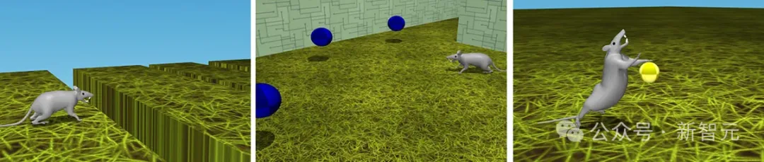 哈佛DeepMind开辟「虚拟神经科学」新领域！在世界模拟器驯养「赛博老鼠」  第8张
