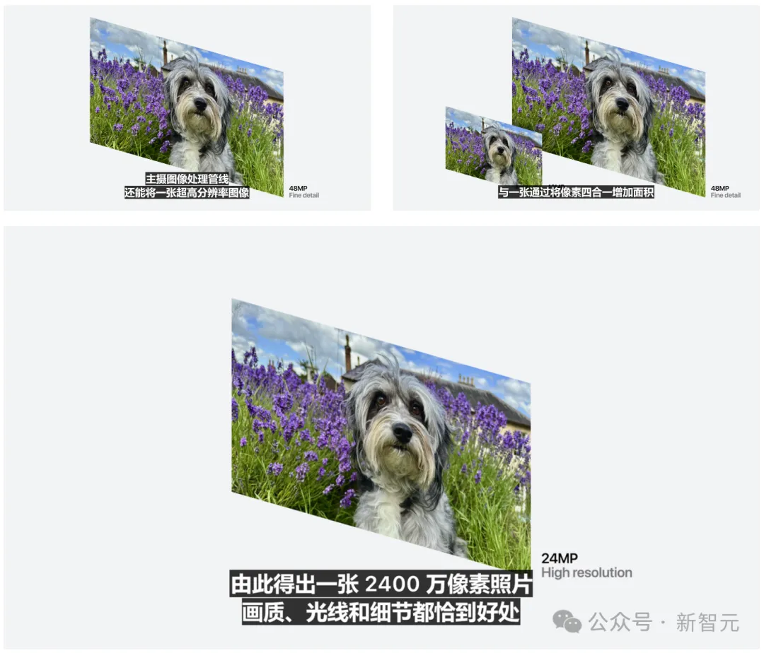 苹果史上第一台AI手机诞生，iPhone 16屠版热搜！中文版明年登场，3nm芯片封神  第48张