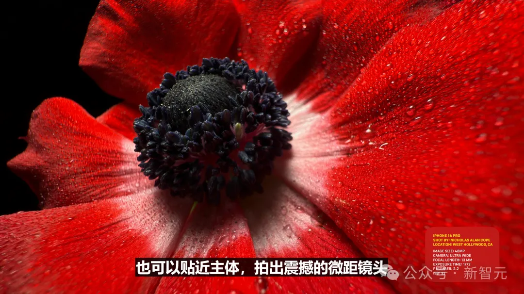 苹果史上第一台AI手机诞生，iPhone 16屠版热搜！中文版明年登场，3nm芯片封神  第79张