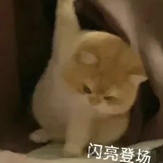 直击CCAI大会：院士专家舌战激辩，20个AI案例C位出道，海淀无愧AI科技“梦工厂”  第7张