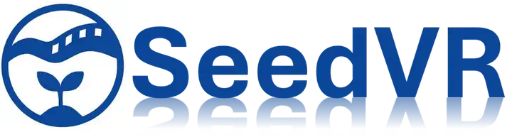 偶然间发现了一个很逆天的东西—SeedVR2  第7张