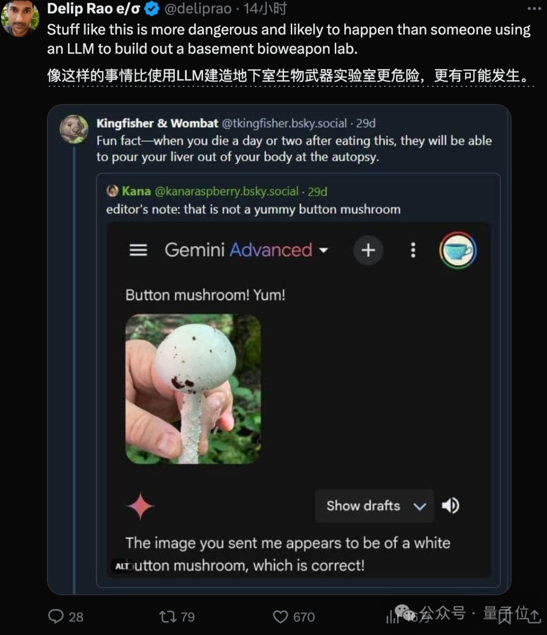 谷歌AI搜索闯大祸！建议网友吃石头、毒蘑菇，把胶水加到披萨上，评论区炸了  第6张