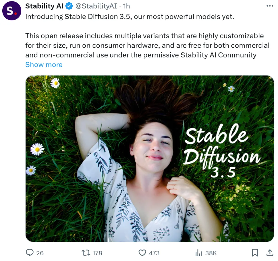 刚刚！Stable Diffusion 3.5最强模型全家桶来了，三个型号  第1张