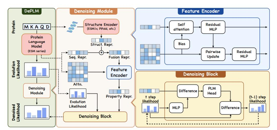 入选NeurIPS 24，浙大团队提出全新去噪蛋白质语言模型DePLM，突变效应预测优于SOTA模型  第3张