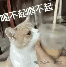 新晋顶流Agent颠覆设计师！Lovart一手实测来了：是该刷屏爆火  第34张