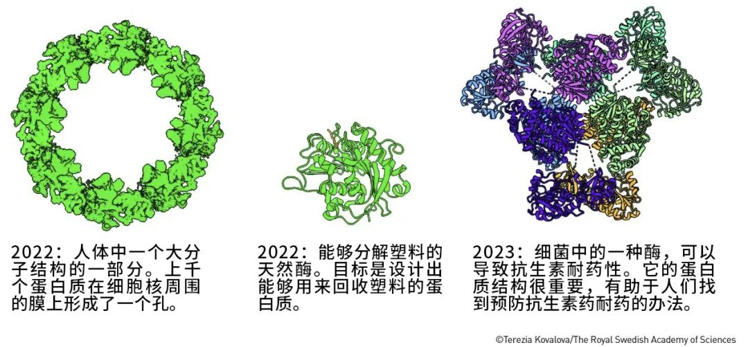 AI凭啥又得奖？就凭它半小时干完了几年的活  第3张