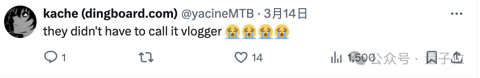 谷歌发布“Vlogger”模型：单张图片生成10秒视频  第13张