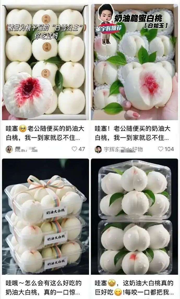 有问题找小红书，也不行了...  第5张