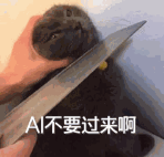 有问题找小红书，也不行了...  第13张