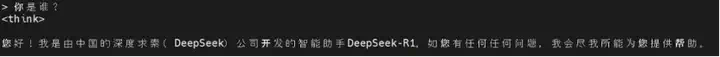 天翼云CPU实例部署DeepSeek-R1模型最佳实践  第9张