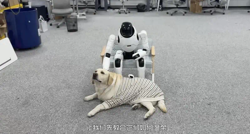 稚晖君的机器人公司，京东投了  第1张