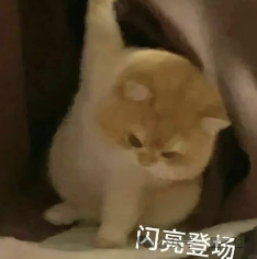 哪里不会扫哪里！全球最强数学大模型发布人人可玩Demo，阿里多模态模型加持，中文适用  第12张